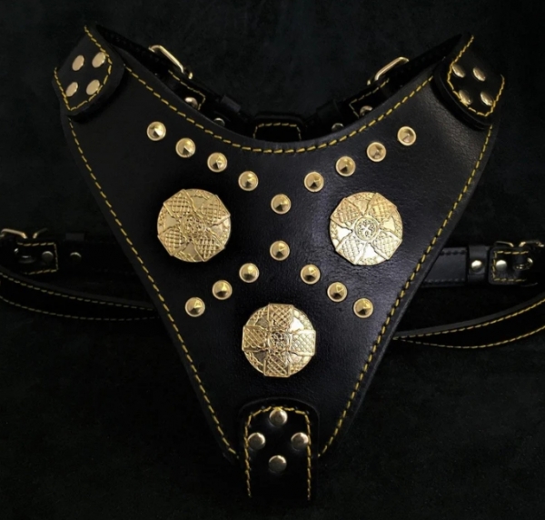 Maximus Brustgeschirr Schwarz & Gold